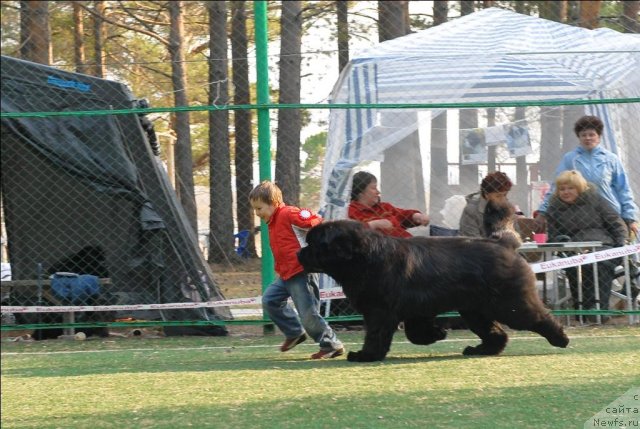 Фотография № 70283