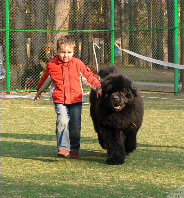 Фотография № 70285