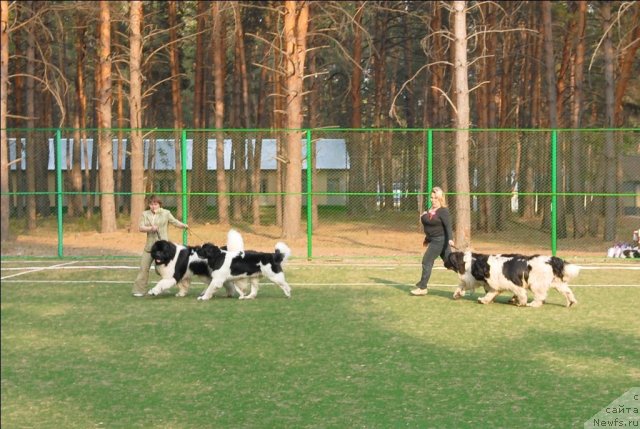 Фотография № 70302