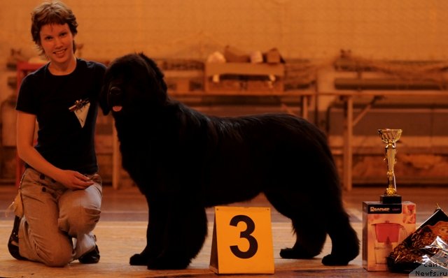 Фотография № 70306