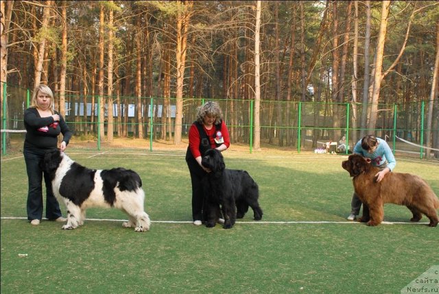 Фотография № 70317