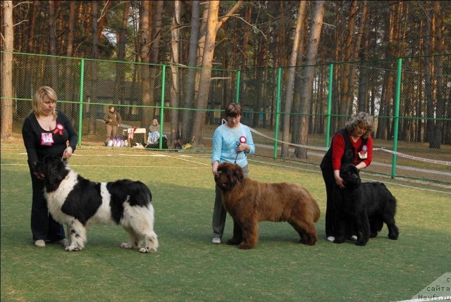 Фотография № 70318