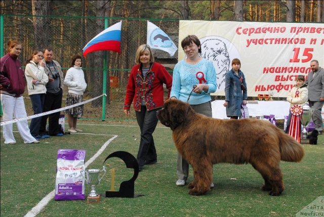 Фотография № 70319