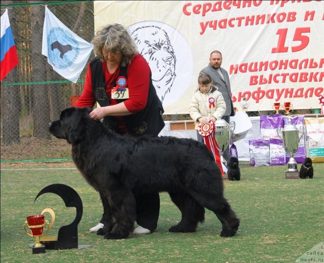 Фотография № 70323