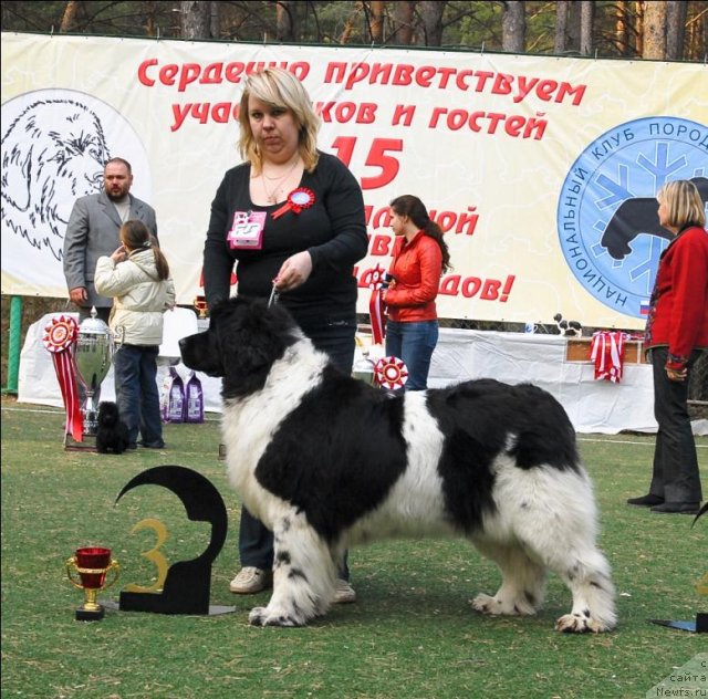 Фотография № 70325