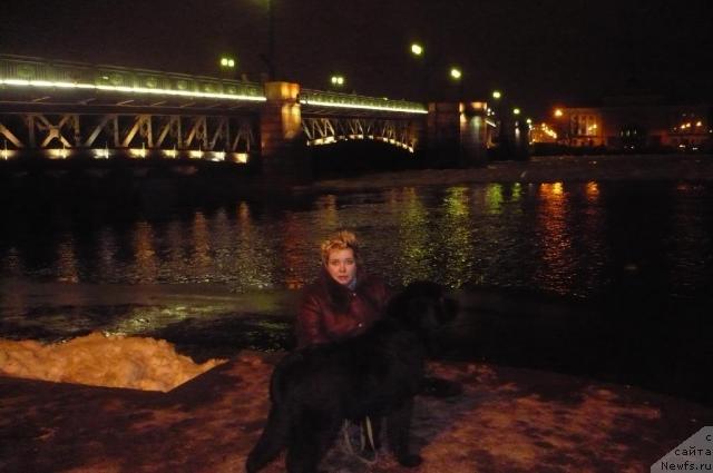 Фото: ньюфаундленд Отрада Моя от Сибирского Медведя, Светлана Смирнова