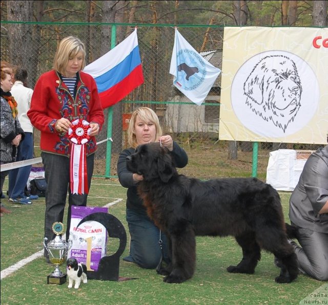 Фотография № 70330