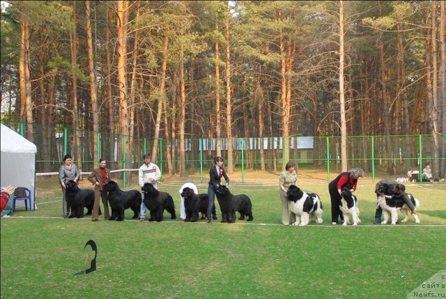 Фотография № 70332