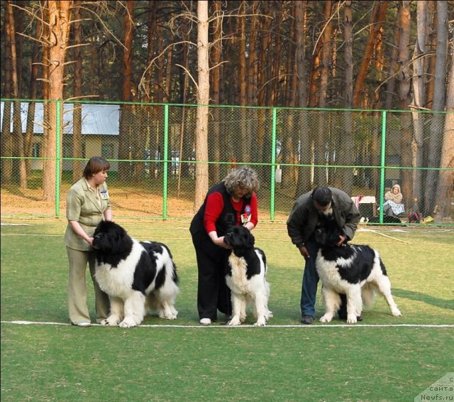 Фотография № 70334