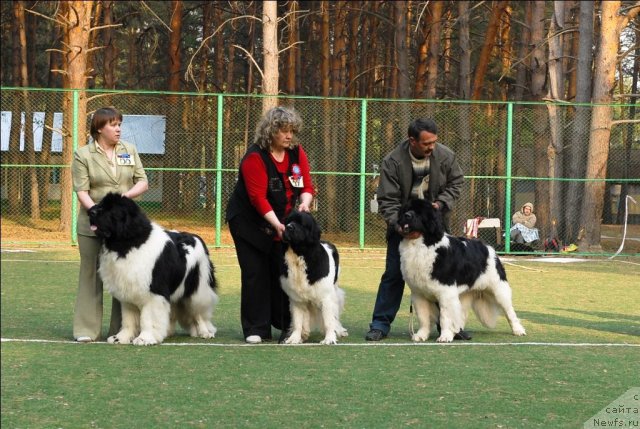 Фотография № 70336