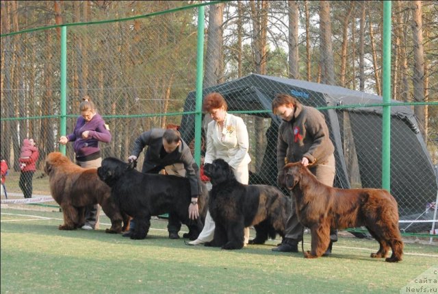 Фотография № 70338