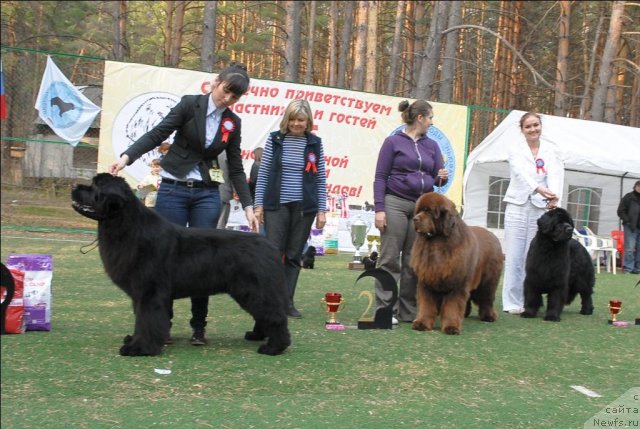 Фотография № 70356