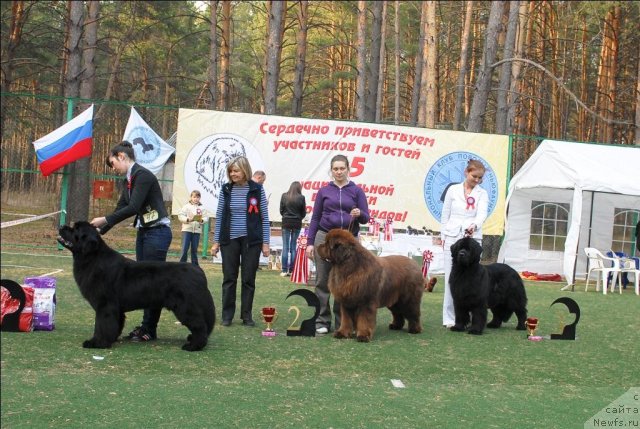 Фотография № 70362