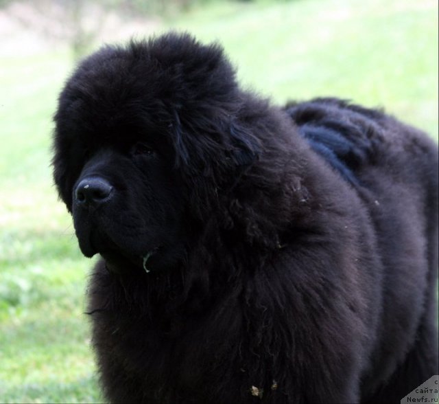 Фотография № 70394