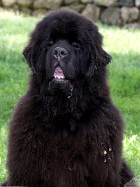 Фотография № 70396