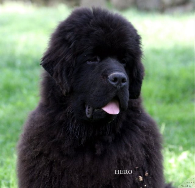 Фотография № 70397