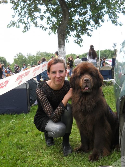 Фотография № 70431