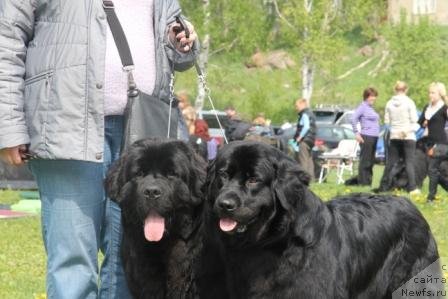 Фотография № 70454