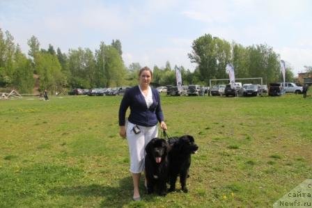 Фото: ньюфаундленд Бонни Флайт, ньюфаундленд Рестайлинг Фром Шипмэн, Мария Шигаль