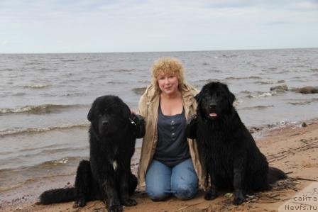 Фотография № 70465