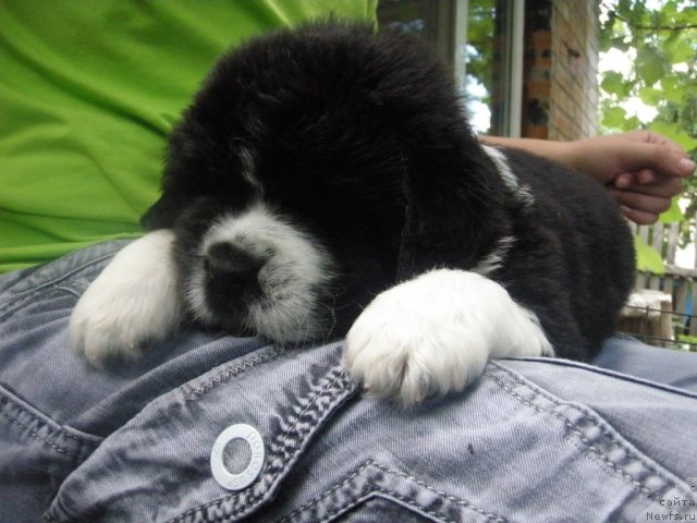 Фотография № 70489