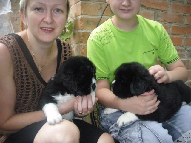 Фотография № 70491