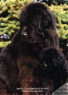 Фотография № 70545