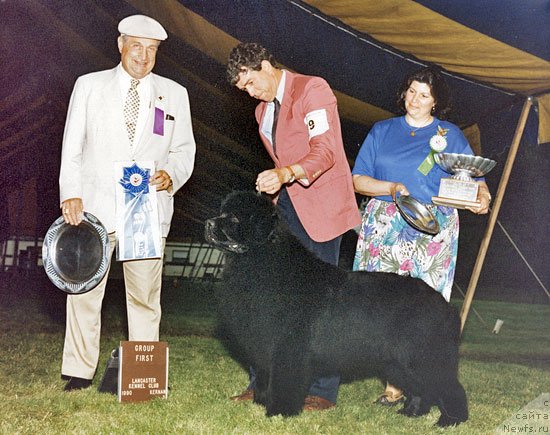 Фото: AM. CH. SPILLWAYS SCARLETT O'BARA, ROM

Pet Name: 	 Lettie  
Sex: 	 Female  
Colour: 	 Black with small white chest marking  
DoB: 	 6  August 1984 
Hips: 	 Excellent