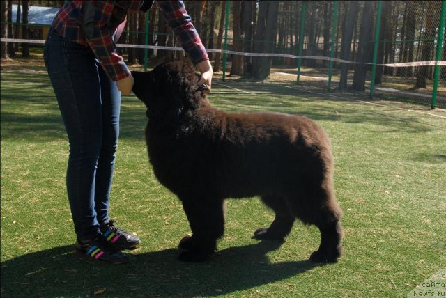 Фотография № 70582