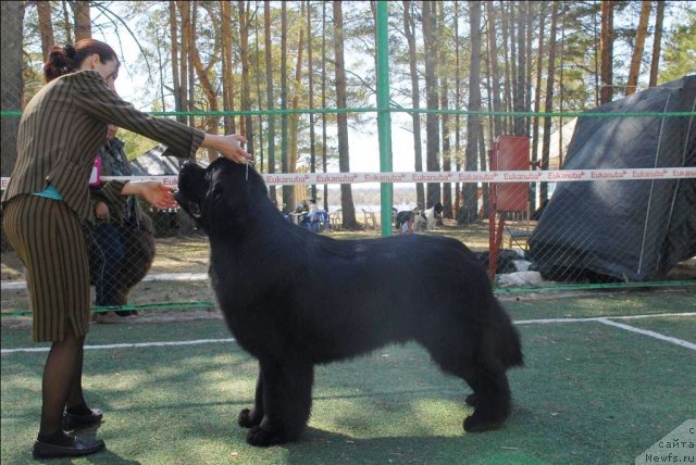 Фотография № 70588