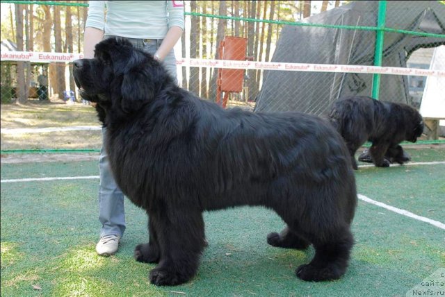 Фотография № 70590