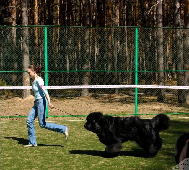 Фотография № 70591