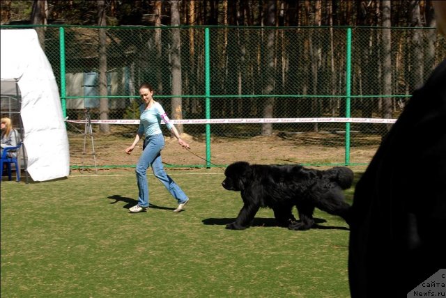 Фотография № 70592