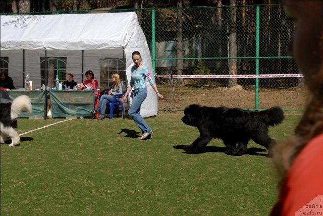 Фотография № 70593