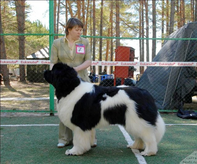 Фотография № 70594