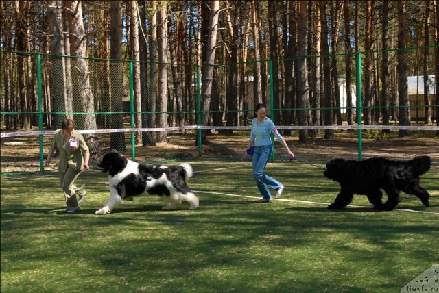 Фотография № 70600