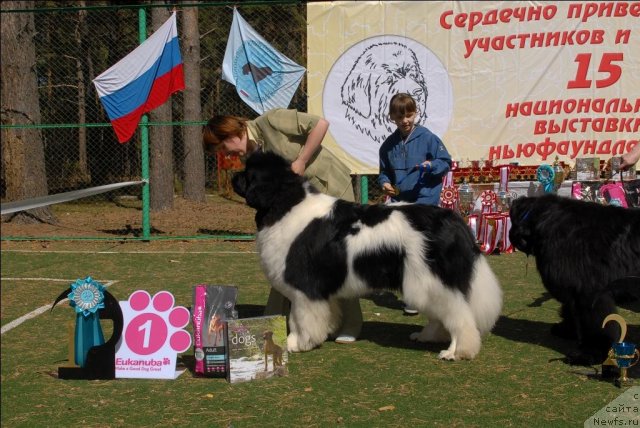 Фотография № 70601