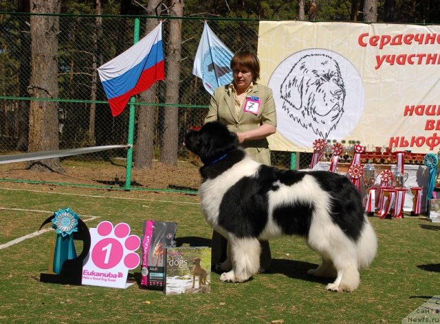 Фотография № 70602