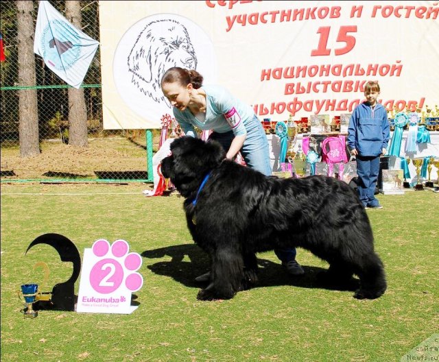 Фотография № 70604