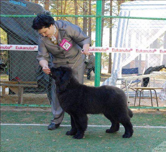 Фотография № 70605