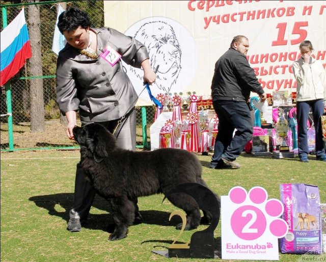 Фотография № 70609