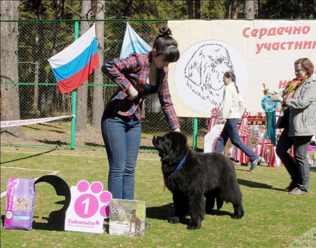 Фотография № 70611