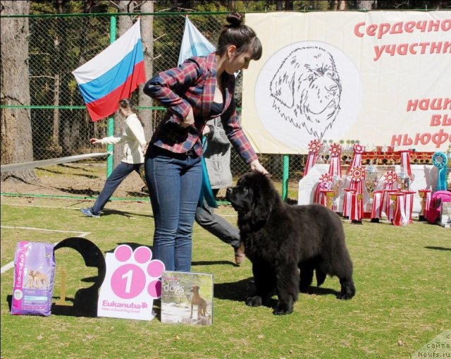 Фотография № 70612