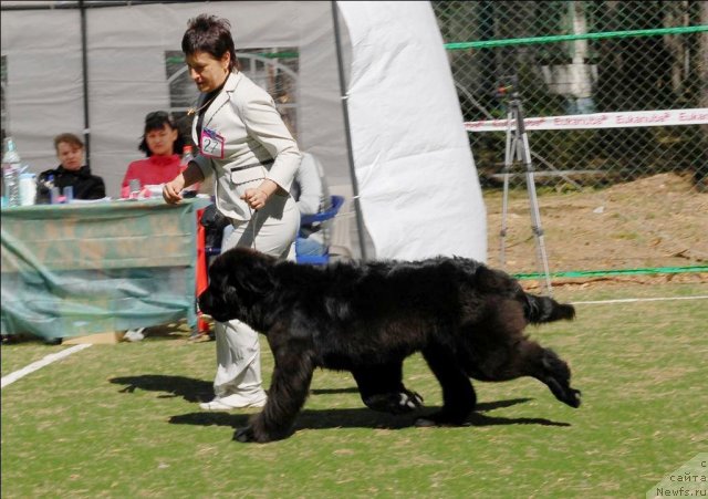 Фотография № 70620