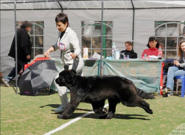 Фотография № 70622