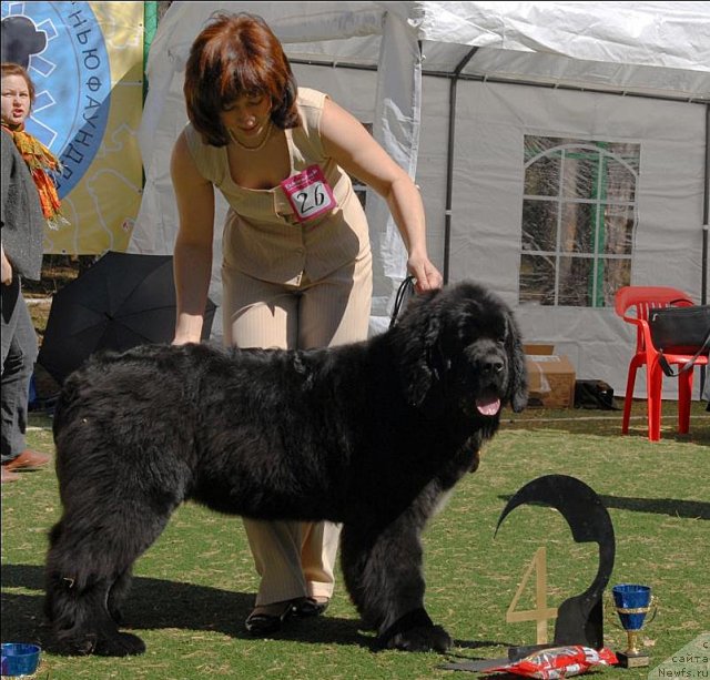 Фотография № 70626