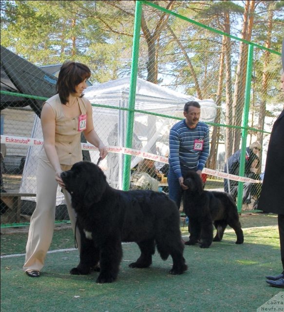 Фотография № 70627