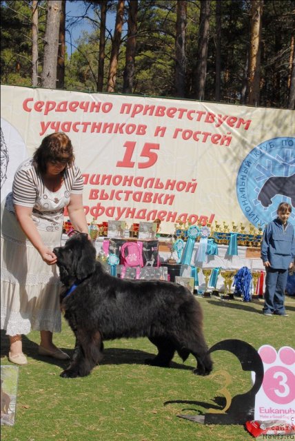 Фотография № 70629