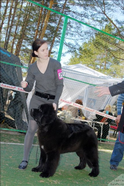 Фотография № 70630