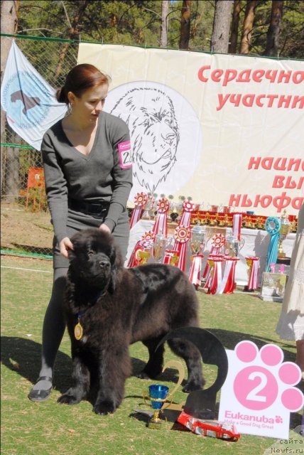 Фотография № 70631